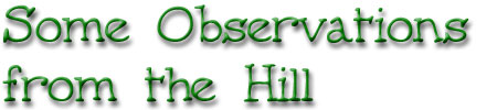 Some Observations from the Hill - by HH Hub Brown