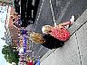 06170070.jpg