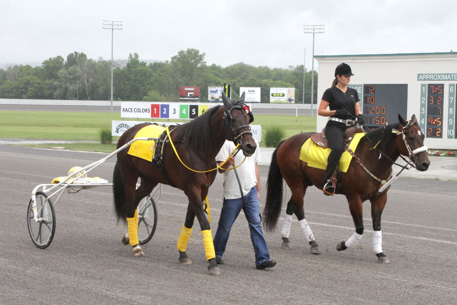 1506_1292.jpg