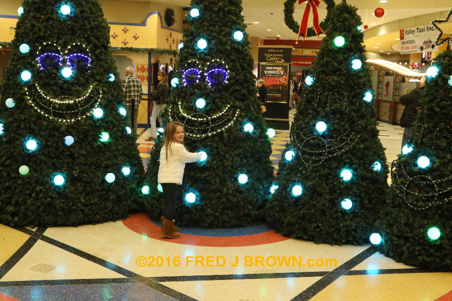 1611_0347.jpg