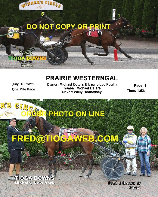 Tioga Downs Winners Circle Photos by Fred Brown